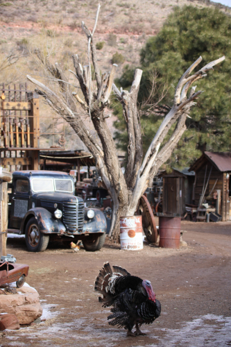 2023-BigCircleII-1309fhd