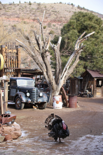 2023-BigCircleII-1310fhd