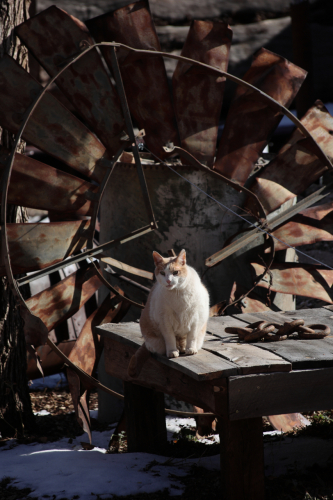 2023-BigCircleII-1332fhd