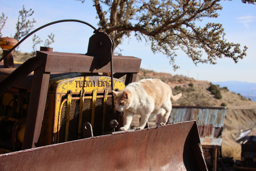 2023-BigCircleII-1340fhd