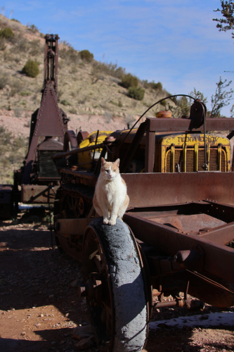 2023-BigCircleII-1341fhd