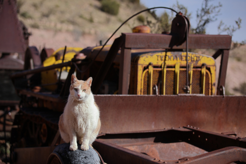 2023-BigCircleII-1342fhd