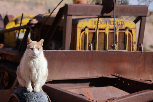 2023-BigCircleII-1343fhd