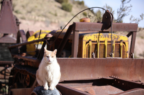 2023-BigCircleII-1344fhd