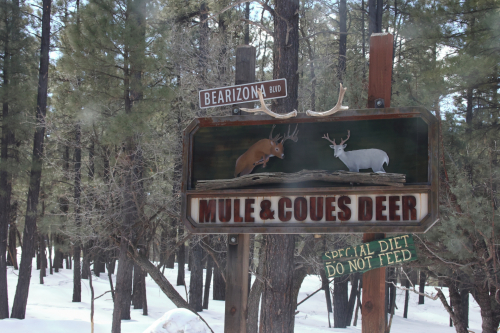 2023-BigCircleII-1368fhd