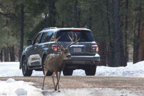 2023-BigCircleII-1369fhd