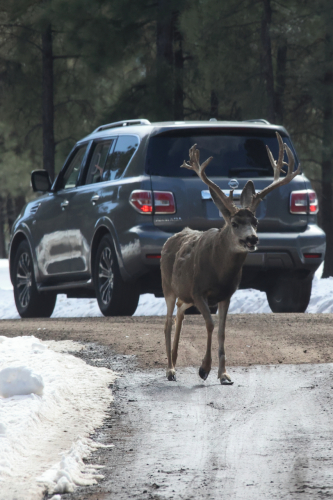 2023-BigCircleII-1370fhd