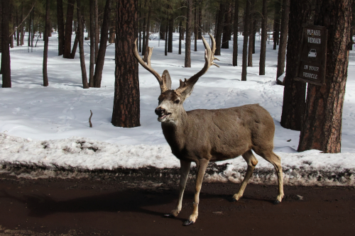 2023-BigCircleII-1372fhd