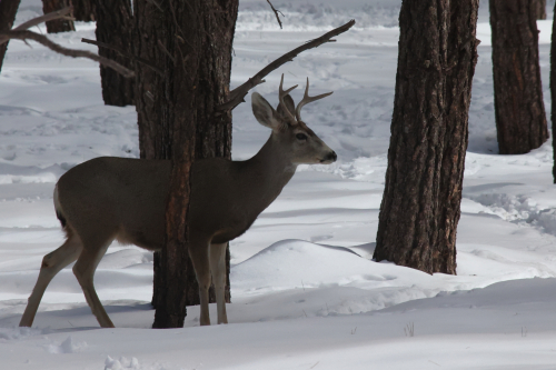 2023-BigCircleII-1373fhd