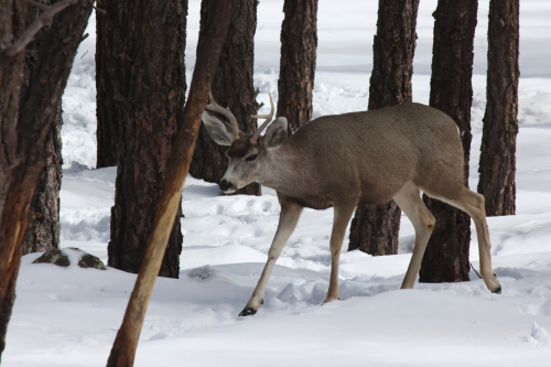 2023-BigCircleII-1374fhd