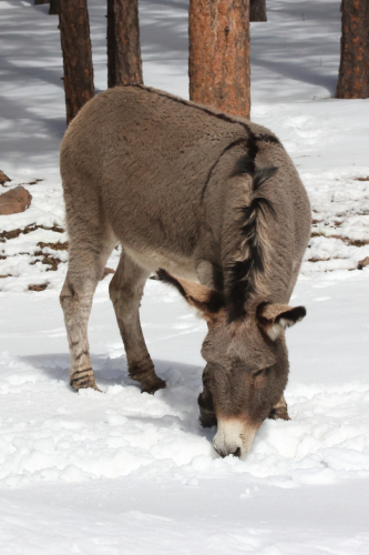 2023-BigCircleII-1377fhd