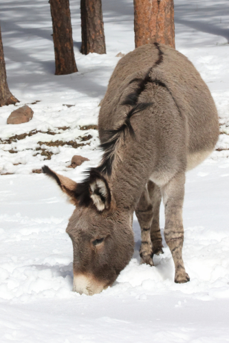 2023-BigCircleII-1378fhd