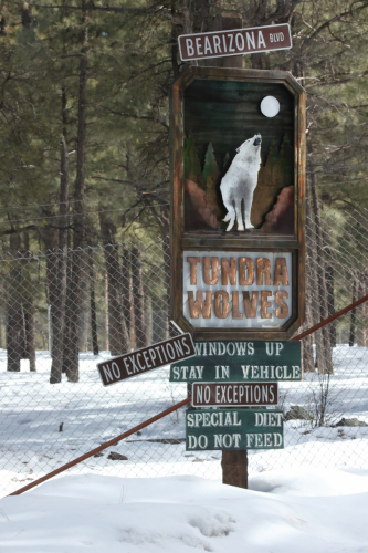 2023-BigCircleII-1379fhd