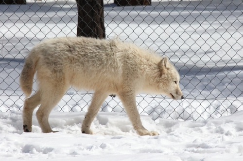 2023-BigCircleII-1380fhd