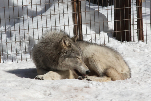 2023-BigCircleII-1381fhd