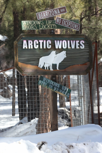 2023-BigCircleII-1382fhd