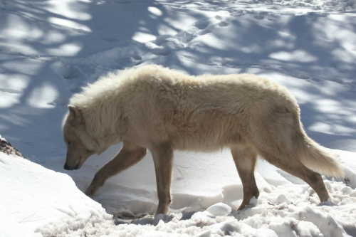 2023-BigCircleII-1383fhd