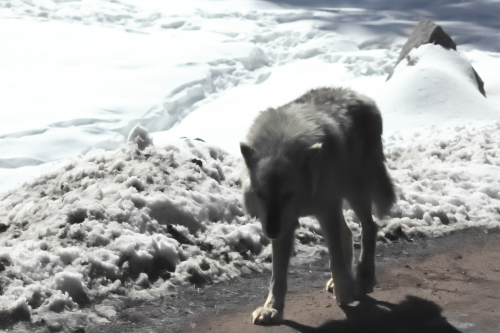 2023-BigCircleII-1384fhd