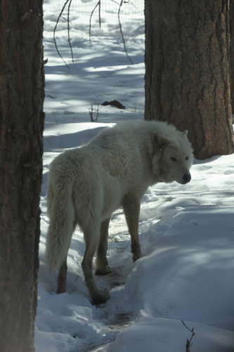 2023-BigCircleII-1385fhd