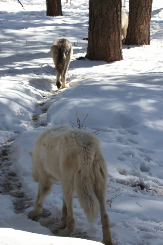 2023-BigCircleII-1386fhd