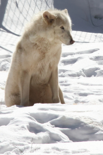 2023-BigCircleII-1388fhd