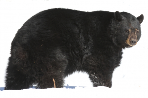 2023-BigCircleII-1389fhd