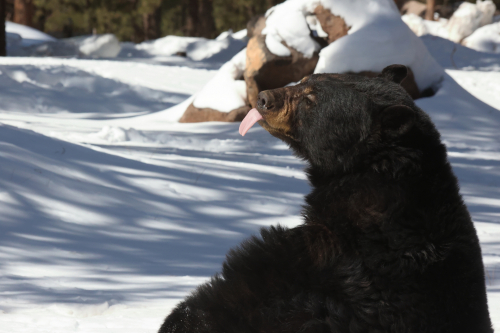 2023-BigCircleII-1390fhd