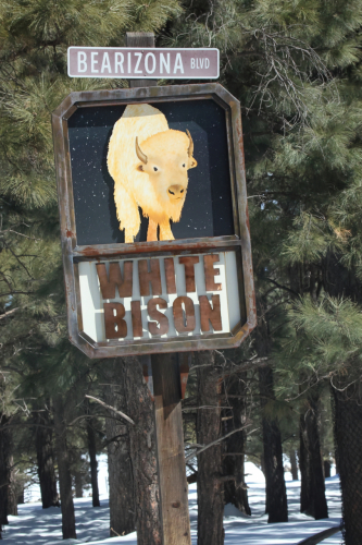 2023-BigCircleII-1391fhd