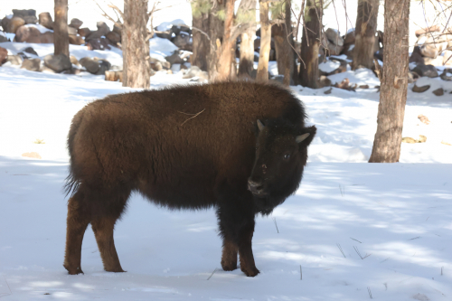 2023-BigCircleII-1392fhd