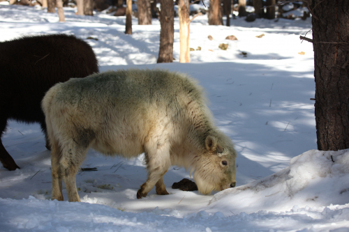 2023-BigCircleII-1393fhd