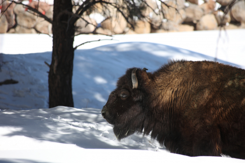 2023-BigCircleII-1394fhd