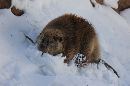 2023-BigCircleII-1395fhd