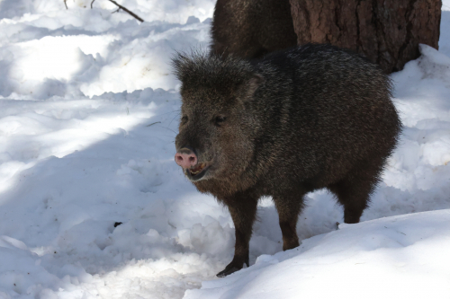 2023-BigCircleII-1397fhd