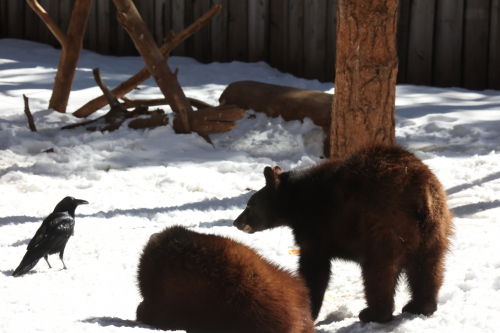 2023-BigCircleII-1399fhd