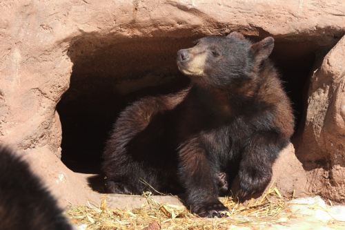 2023-BigCircleII-1400fhd