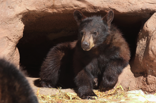 2023-BigCircleII-1401fhd