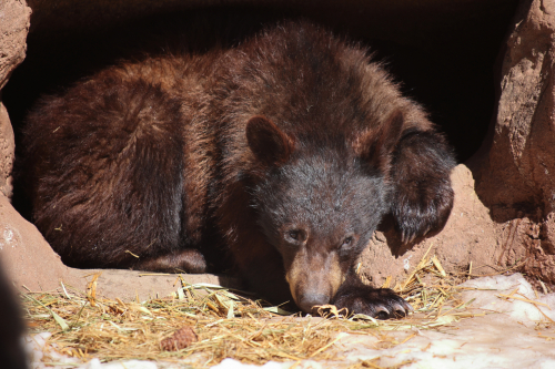 2023-BigCircleII-1402fhd