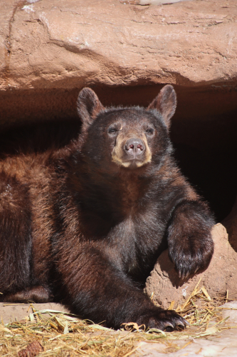 2023-BigCircleII-1403fhd