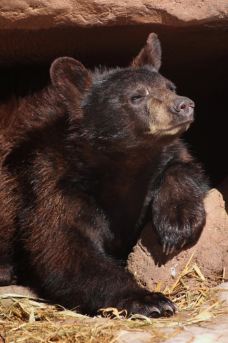 2023-BigCircleII-1404fhd