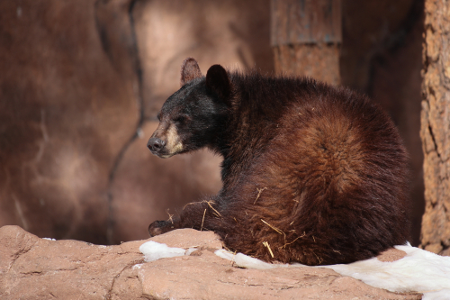 2023-BigCircleII-1405fhd