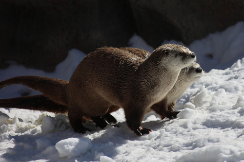 2023-BigCircleII-1406fhd