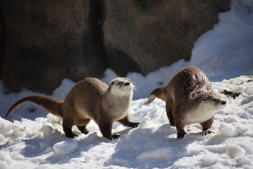 2023-BigCircleII-1407fhd