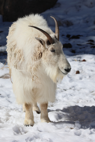 2023-BigCircleII-1409fhd