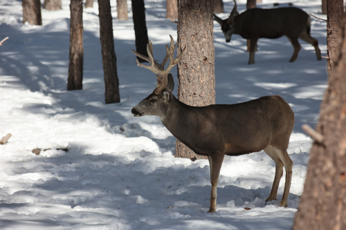 2023-BigCircleII-1410fhd