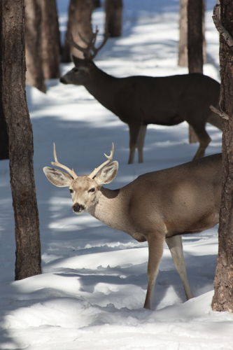 2023-BigCircleII-1411fhd