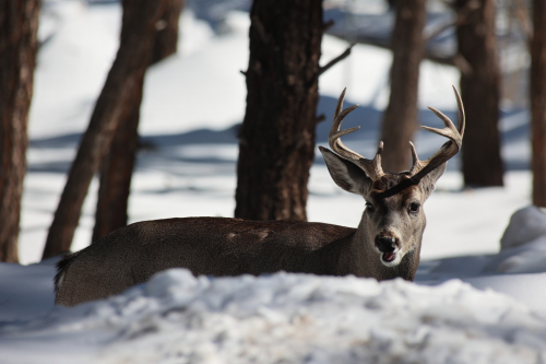 2023-BigCircleII-1412fhd