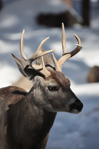 2023-BigCircleII-1413fhd