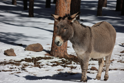 2023-BigCircleII-1414fhd