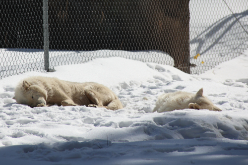 2023-BigCircleII-1415fhd