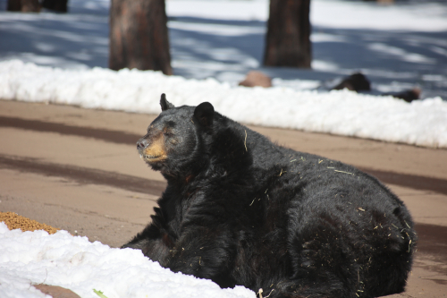 2023-BigCircleII-1416fhd